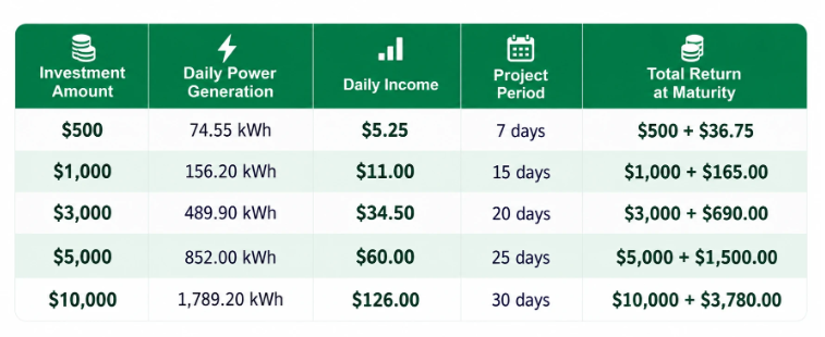 Choose a Green Energy Project