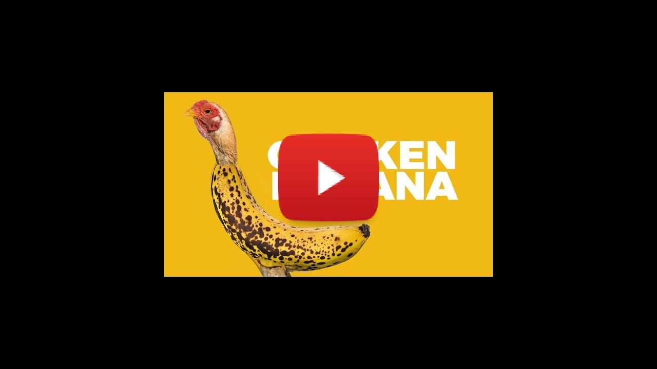 Listen to the song here