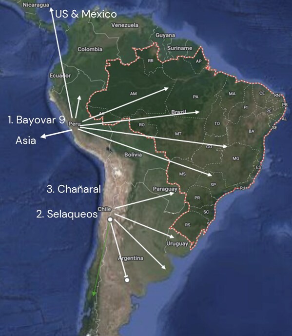 Bayovar 9 project located in Northern Peru adjacent to the 4.8 million tonne pa producing phosphate rock project owned and operated by Mosaic Inc and Mitsui & Co. Close to port, power and road infrastructure. Able to export to US, LATAM and Asia; Chanaral and Selaqueos projects able to service LATAM markets Bayovar 9 project located in Northern Peru adjacent to the 4.8 million tonne pa producing phosphate rock project owned and operated by Mosaic Inc and Mitsui & Co. Close to port, power and road infrastructure. Able to export to US, LATAM and Asia; Chanaral and Selaqueos projects able to service LATAM markets